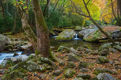 This Great Smoky Mountains stream image is a link to a larger version.