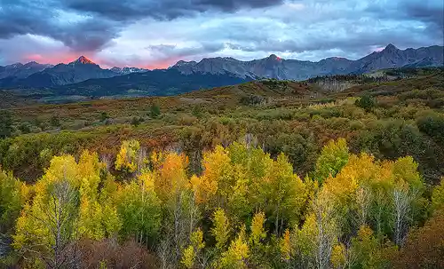 Sunset Glow on Mount Sneffels - Fall Color Sunset photo from Dallas Divide Overlook with Mount Sneffels lit in pink light, framed by colorful autumn aspen and scrub oak under a cloudy sky. Image by Rick Russell.