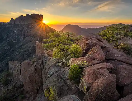Sunset Star from Lost Mine Trail Sunset from Lost Mine Trail in Big Bend National Park with a sun star over distant mountains and pine trees lit by soft golden light atop rocky foreground. Image by Cindy Beckett.