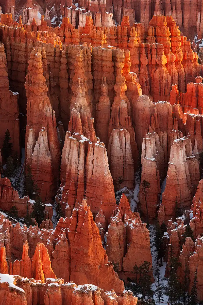 This vertical image was taken from a high overlook, pointing down with a long lens. It's filled with numerous spires comprised of orange and white sandstone layers. Dawn light is just starting to glow on several of them.