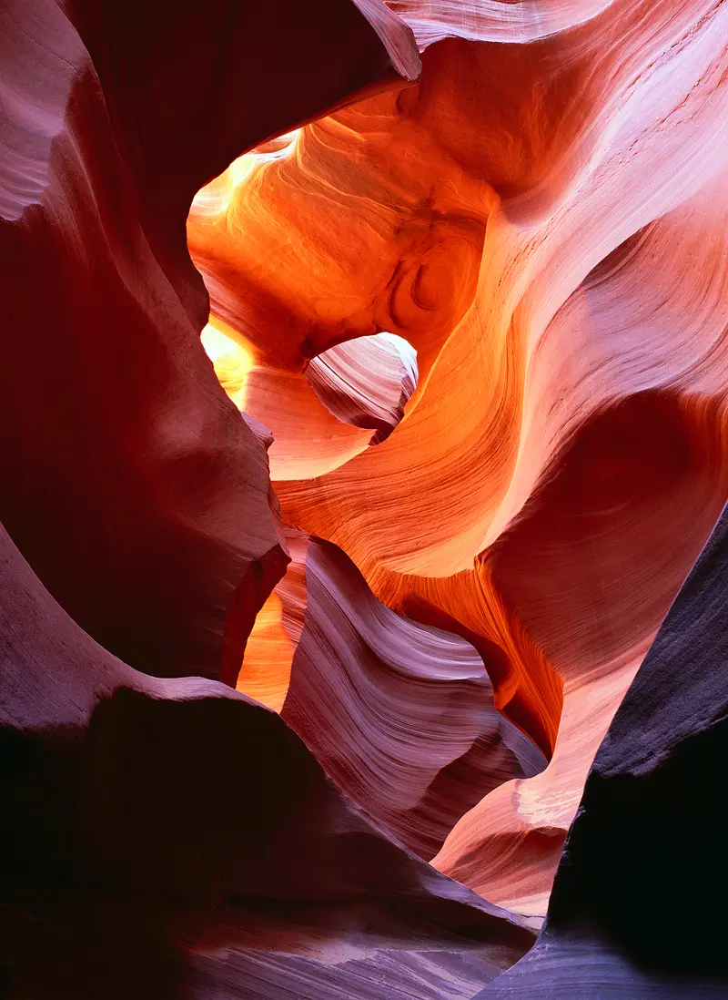 This vertical image was taken inside Lower Antelope Canyon which is a few feet wide and twenty to thirty feet deep. Through eons flash floods have carved sensuous curves in this striated red sandstone. This image was taken in the morning, when the sun only lights the upper edge of the canyon creating a lovely mix of hues from yellow to red to purplish and a wide range of tonal contrast. The camera is tilted back to photograph layers of beautifully sculpted walls that have pot hole style formations near the top of the canyon.