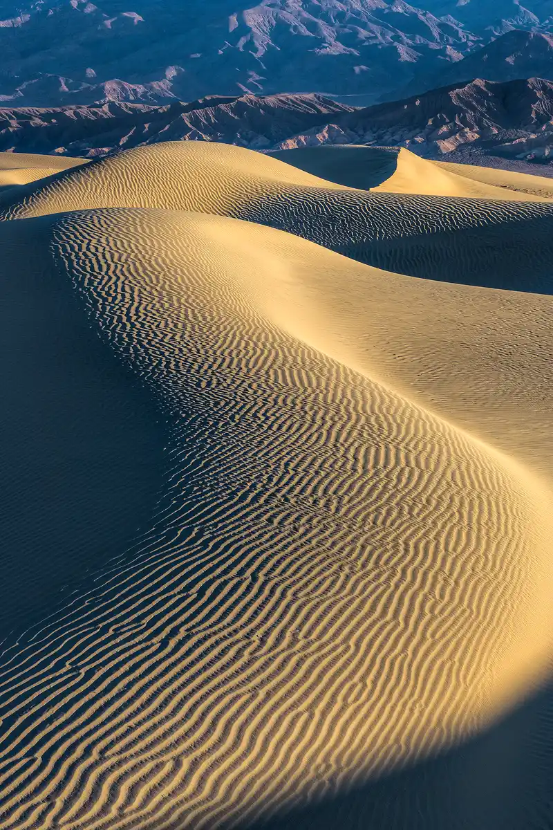 This vertical image is taken from a higher vantage point and shows no sky. The bottom four fifths captures the top of a wide, side lit, dune ridge that sensuously serpentines up toward distant dunes. Above the dunes in the upper fifth of the image one sees barren, desert mountains.