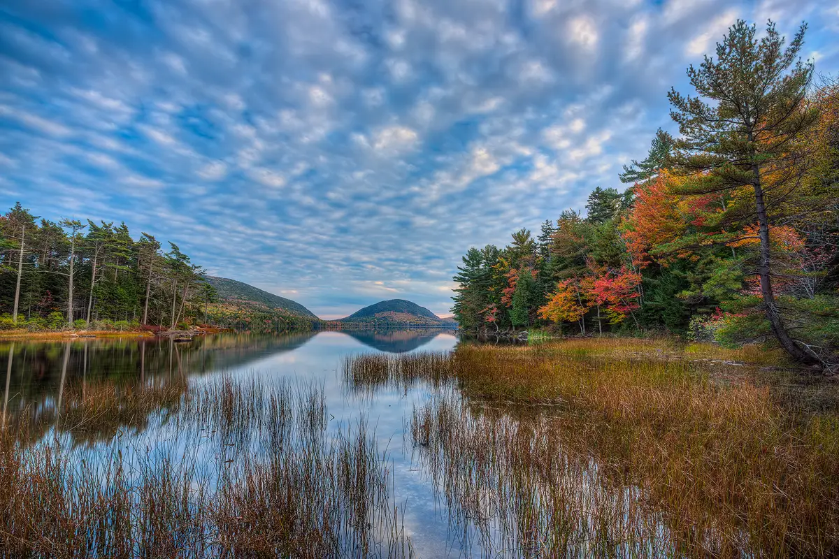 The lower half of this lake image has brown, short, thin reeds in mirror like water reflecting the beautiful, cloudy sky above. On the right side of the frame a shoreline bursting with autumn color leads away and narrows as it moves into the frame and it ends before reaching half way in. The center of the frame shows a distant, rounded mountain reflecting in the lake. On the left, in the mid-ground a pine treed shoreline angles out into the lake pointing toward the distant, rounded mountain.