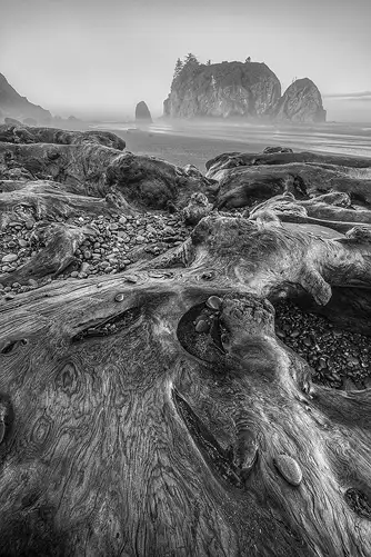 This Ruby Beach image is a link to a larger version.