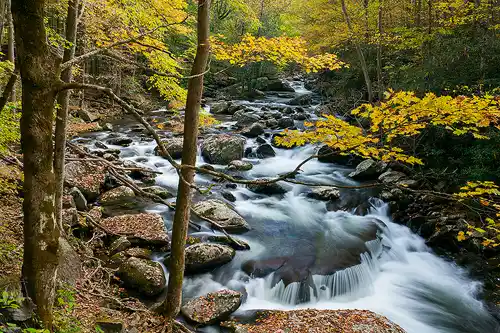 This Great Smoky Mountains river image is a link to a larger version.
