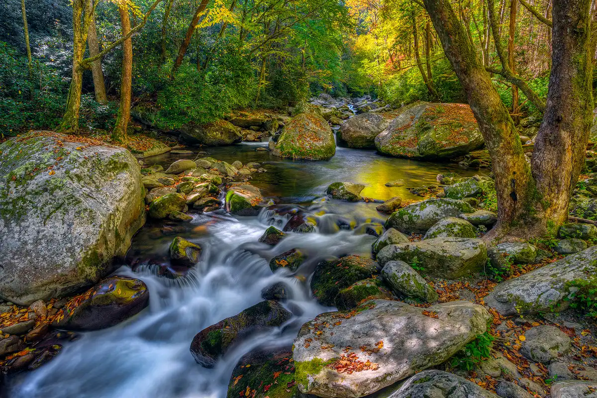Photograph of cascades and a calm pool surrounded by an autumn forest along Big Creek in Great Smoky Mountains National Park.