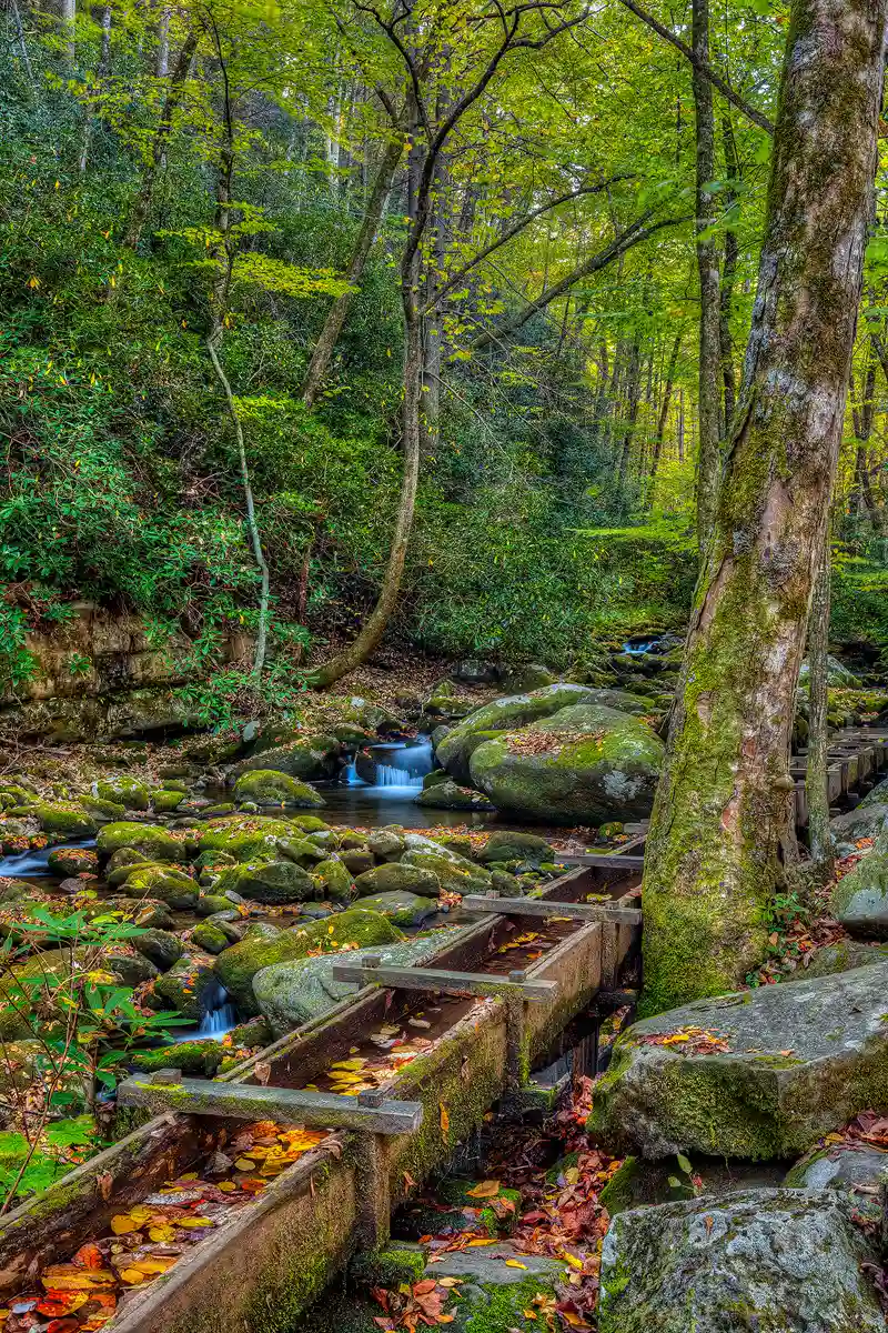 Autumn, vertical photo of a stream and grist mill flume along Roaring Fork Road in Great Smoky Mountains National Park.