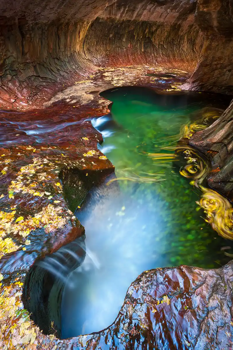 Vertical photograph from inside a large tube like formation carved into red rock. The lower three quarters of the image show a stream flowing in the bottom of the tube and cascading into large, green pools where autumn leaves circle on top. The upper quarter of the image shows a rock face as the tube curves to the right. The Subway, Zion National Park, Utah.