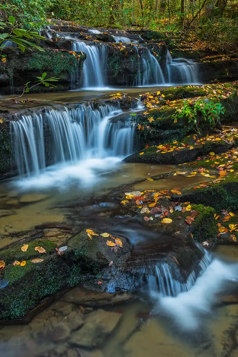 This vertical photograph shows three sets of small waterfalls over layered shelves of moss covered rocks along a short section of Rhododendron Creek. Much of the moss covered rock is sprinkled with red, yellow, and orange autumn leaves. The way it's composed shows the stream entering the upper left corner of the image and flowing out the bottom right corner.