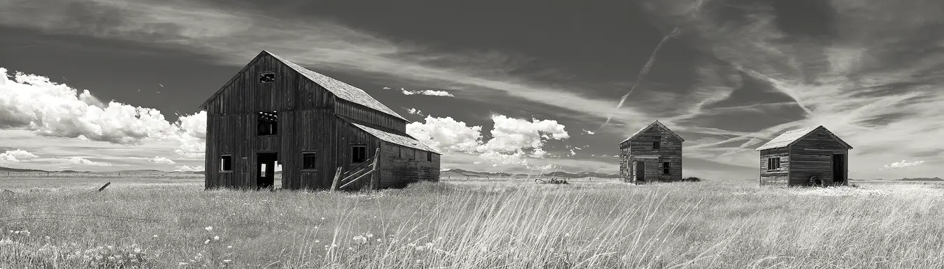 Black and white, sepia panorama of three buildings from an old homestead on a grassy plain in Montana. The largest structure is a barn, it is closest and left of center in the frame. Right of center and farthest back is an old two story home and then a bit closer and more to the right is an old shed. All of the building have weathered to bare wood and have no doors or windows. It is a beautiful summer day and the sky is criss-crossed with clouds.