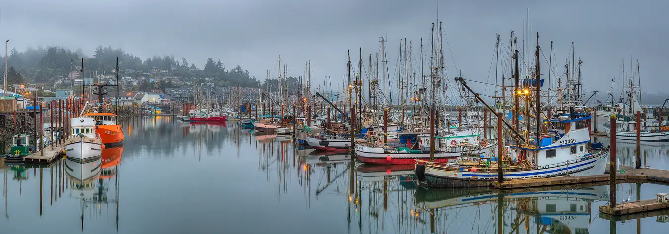 This fishing village scene is from very early on a foggy, overcast morning where it looks as if rain is about to start. The panorama was taken from a pier that leads to floating docks where fishing vessels take refuge. In the background on the left side of the frame is a tree topped hillside that slopes down from the left to the middle of the frame where it meets the water. On the hillside are many homes and building of the town. Below the hill, in the foreground on the left of the frame, is a dock running away from the camera. Here two fishing vessels are lined up pointing toward the camera, white one in front and an orange one behind it. Scanning right one sees a gap between docks then in the right two thirds of the image is a dock that emerges from the right side of the frame and leads back to the distant hillside. This dock is positioned such that fishing vessels face right and we view their starboard and stern sides.