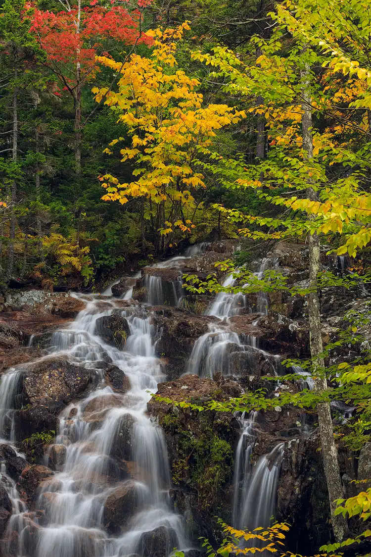 Workshop location; Autumn photograph of the waterfall at Waterfall Bridge on one of the carriage roads in Acadia National Park, Maine. The vertical images shows the water originating in the middle right side and moving down to toward the bottom left. As it flows down, the water moves into various channels and cascades filling most of the bottom half of the image. In the upper half is a forest of evergreens mixed with red and yellow leafed hardwoods.