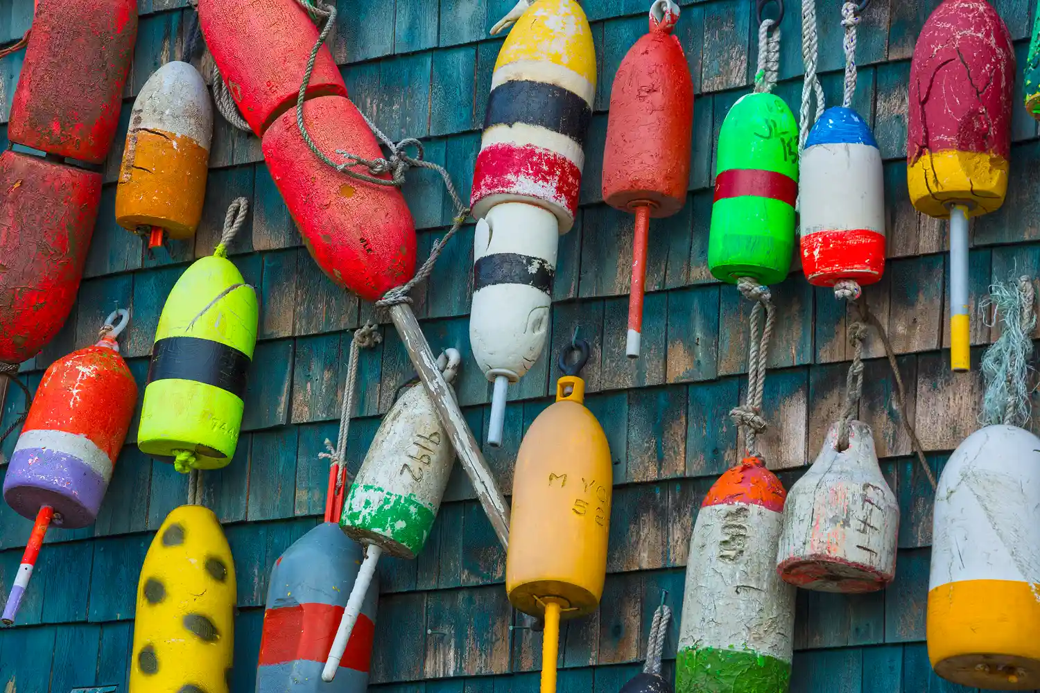Colorful lobster buoys on a building near the Acadia coast.