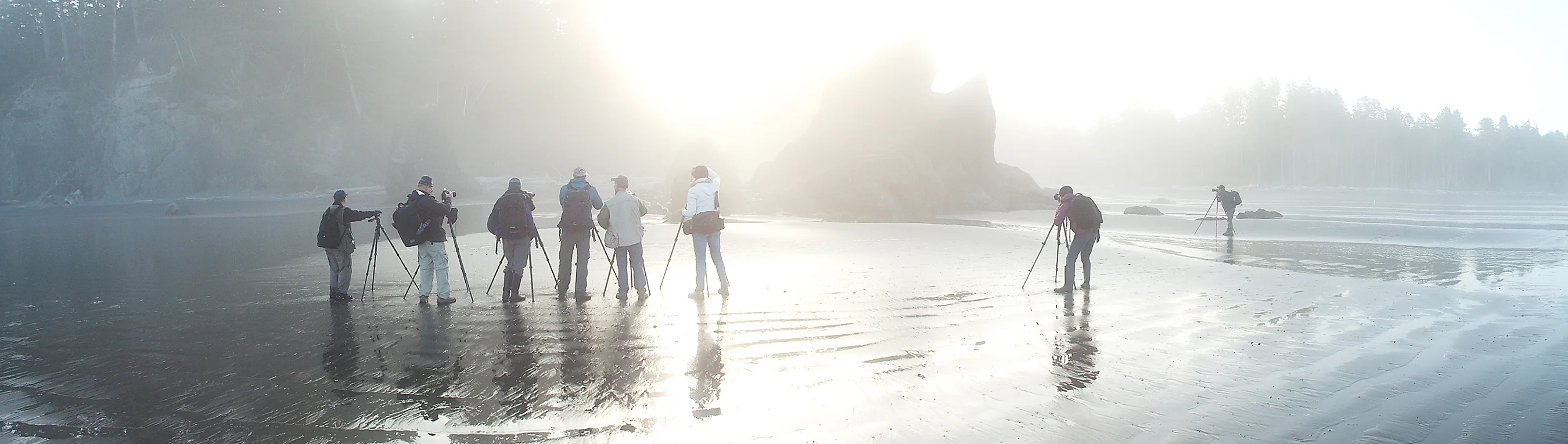 Photographers on a foggy shoreline at sunrise, capturing coastal scenery during a workshop.