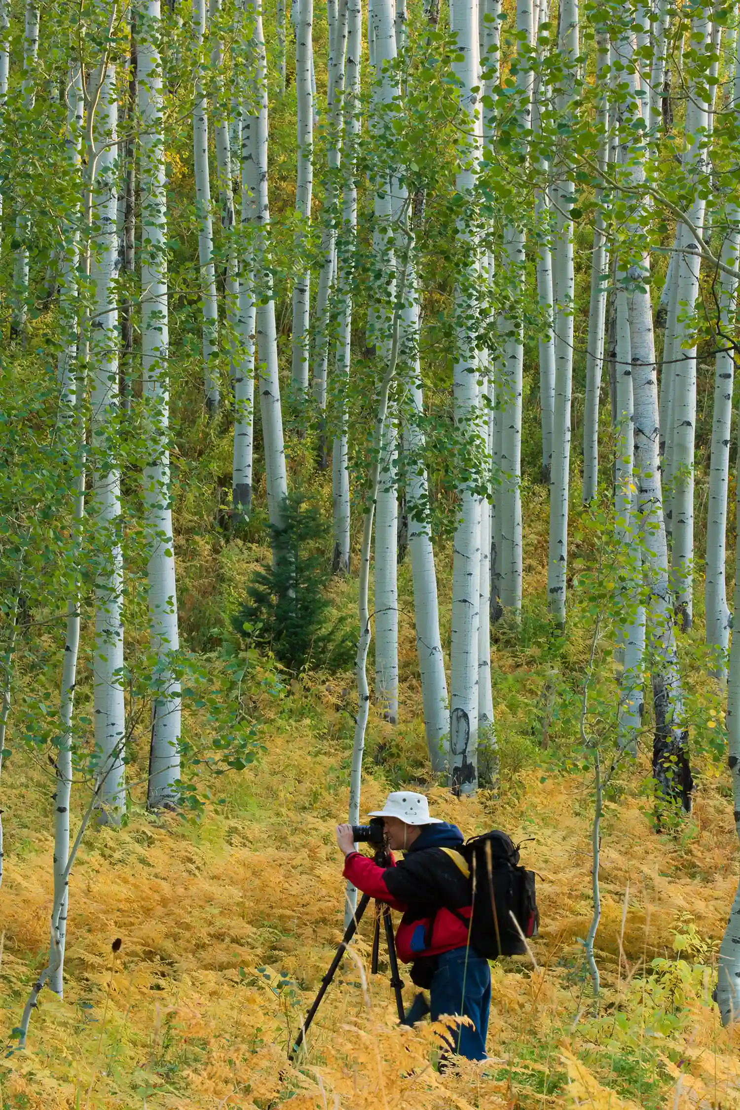 Photographer at a fall photography workshop in a forest.
