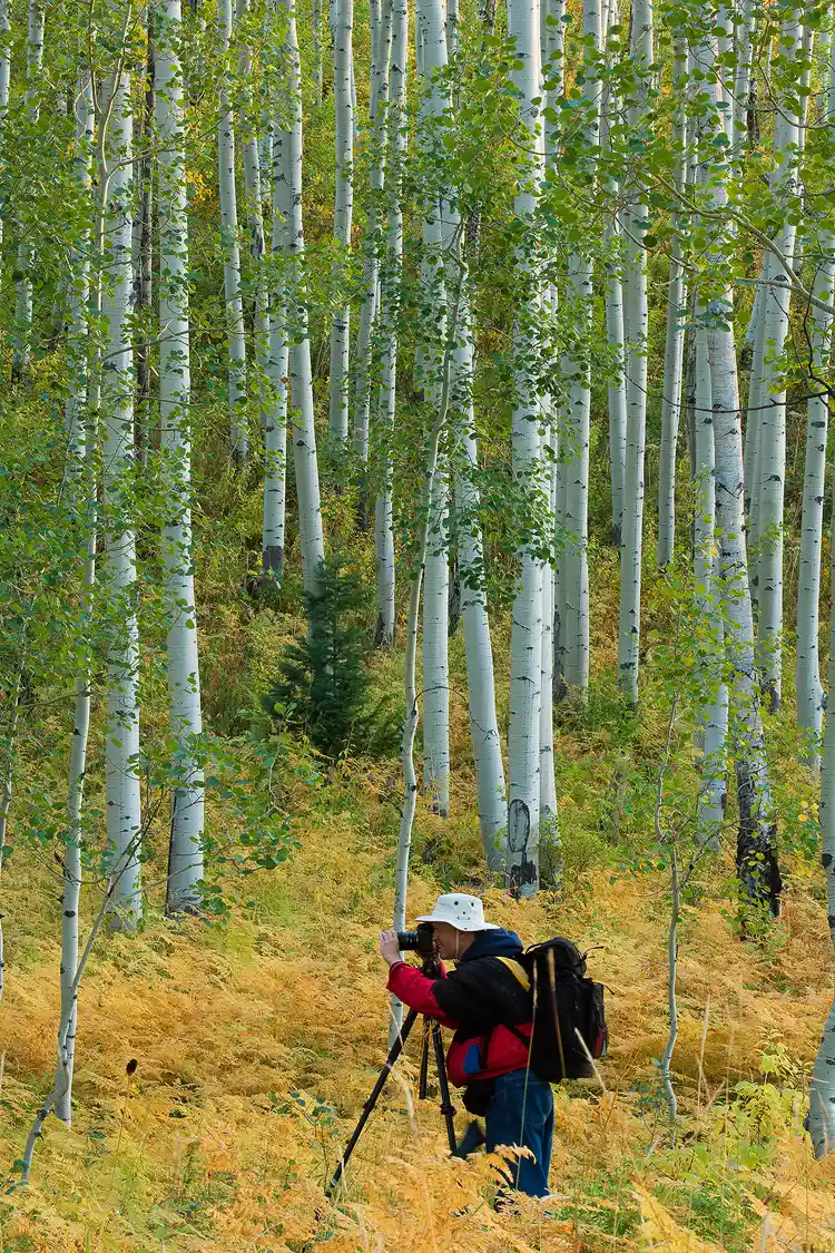 Learn More About Our Photography Workshops: Read Our Testimonials Photographer at a fall photography workshop in a forest.