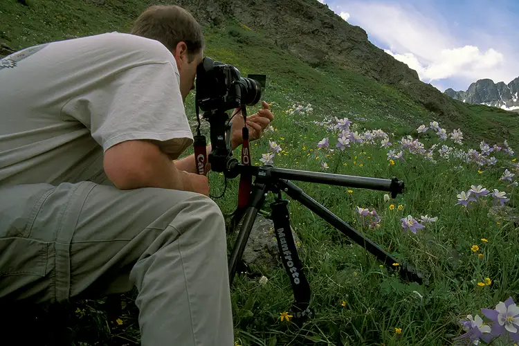 Photographer on a mountain slope, above timberline, photographing a field of columbine.