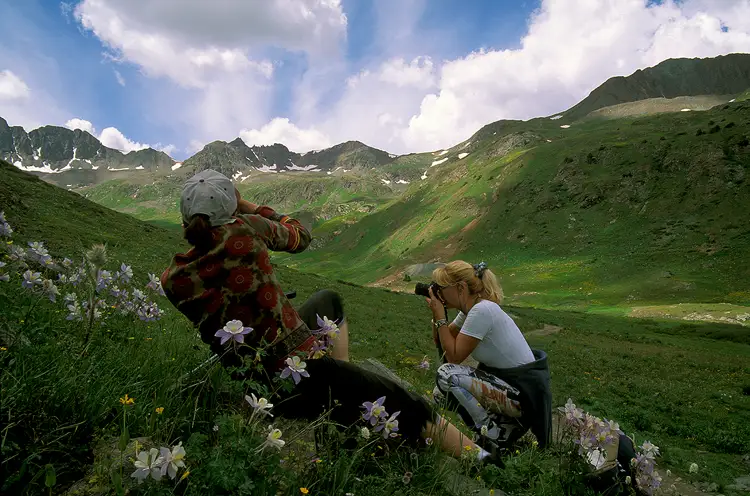 Two photographers in an alpine basin photographing wildflowers.