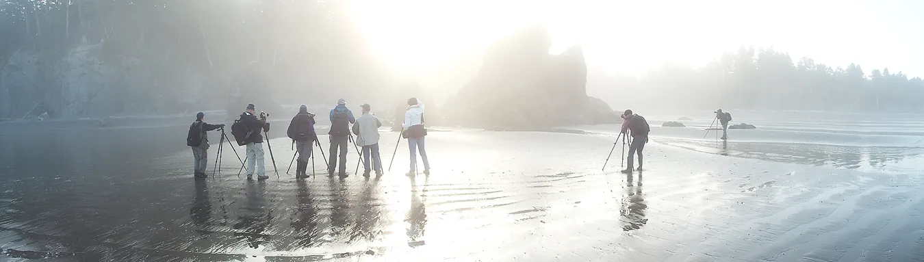A row of back lit photographers, with backs to the ocean, photographing cliffs and rocky shoreline at sunrise.