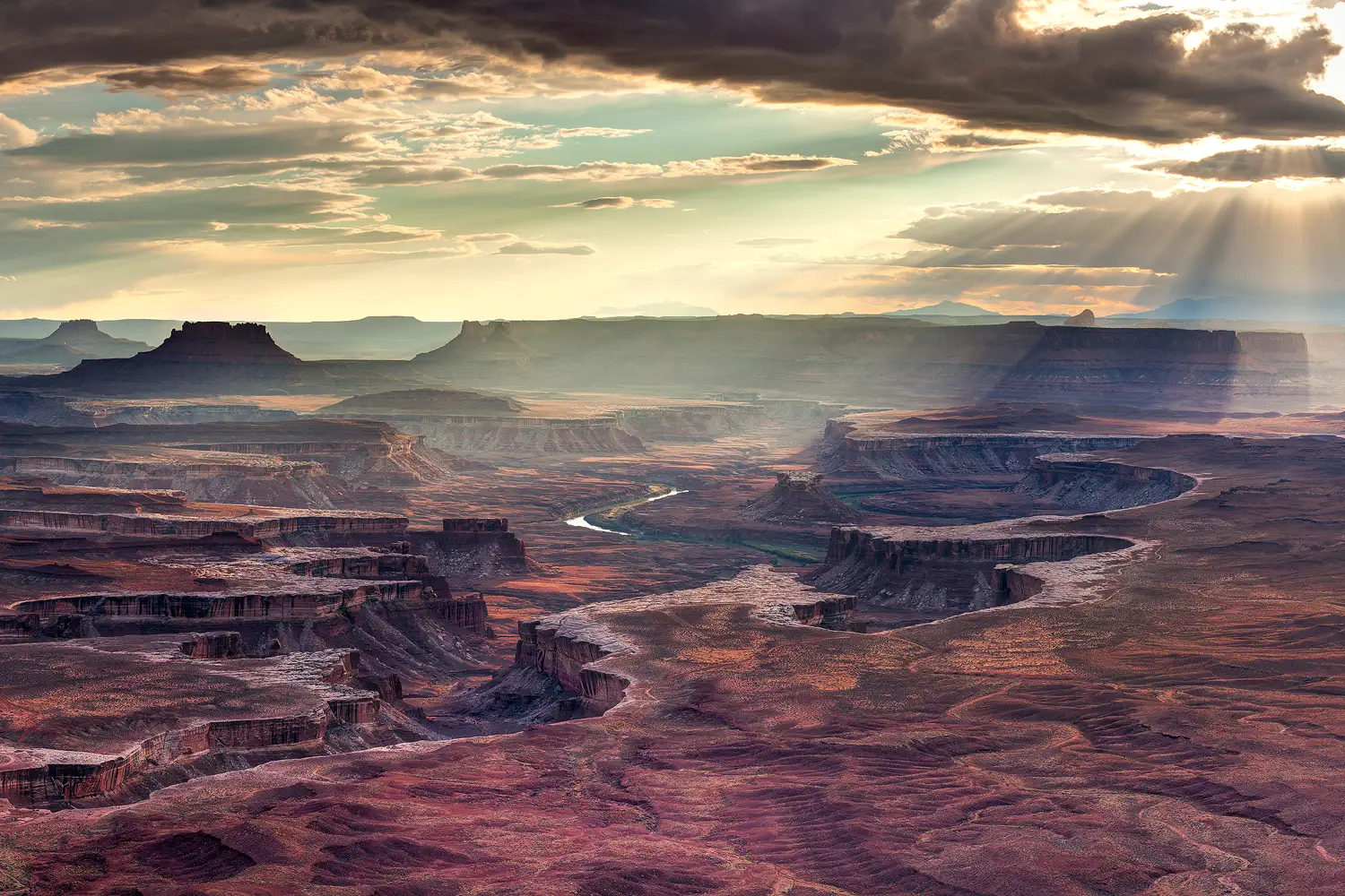 View from Green River Overlook in Canyonlands National Park with the river winding through distant canyons.