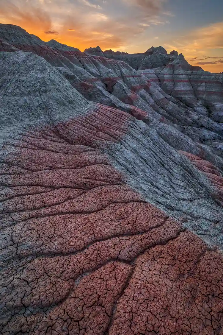 The foreground shows mud cracked, red soil with a dendritic erosion pattern forming a wide, serpentine stripe that flows through the surrounding light gray soil on a sloping shelf on the side of a ravine in Badlands National Park. This red stripe leads the viewer through two thirds of this vertical image to the heights of the ravine topped by jagged, peaks decorated with alternating layers of crumbly, red and light rock. Above, the sunset sky is ablaze with streaking orange clouds.