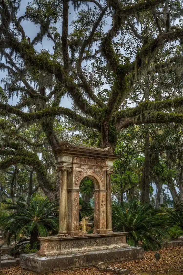 Workshop location, Savannah, GA; Shaded photo of an old arch and pillar, Bonaventure cemetery monument set on a pedestal with a large multi-branched oak tree rising above in such a way the tree seems to emanate from the top of the monument, and fill the sky above with waving limbs.