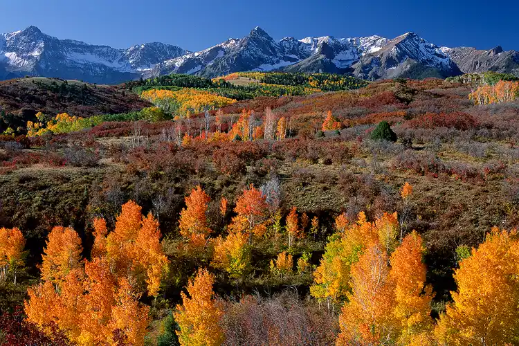 Workshop location; Morning rays side light this quintessential, Colorado, autumn scene. Above in the background a range of snow capped peaks push into the deep blue sky. Below, are rolling hills of autumn scrub oak and stands of fiery, orange aspen.