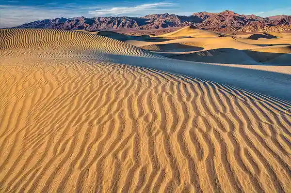 Warm, sunset light accentuates curving, liner, sand ripples which move through the foreground to rolling sand dunes and distant, desolate mountains. The Mesquite Flat Sand Dunes in Death Valley National Park, CA are a top destination for photography workshops.