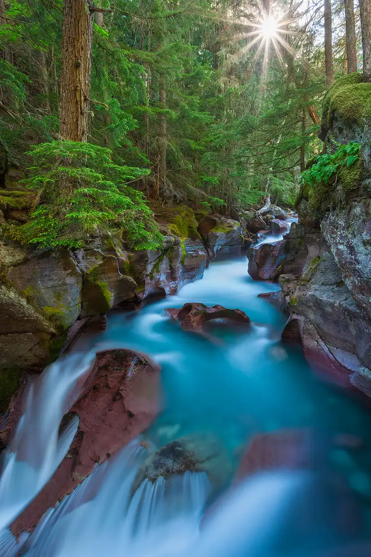 Aqua colored glacial water flows through red, sculpted rocks and a green forest in Avalanche Gorge, Glacier National Park, Montana.