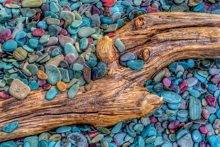 Workshop location; Close-up photo of a well worn, amber hued piece of driftwood partially buried and surrounded by nicely contrasting, smooth, blue, green and occasionally red stones on the shore of Saint Mary Lake in Glacier National Park.