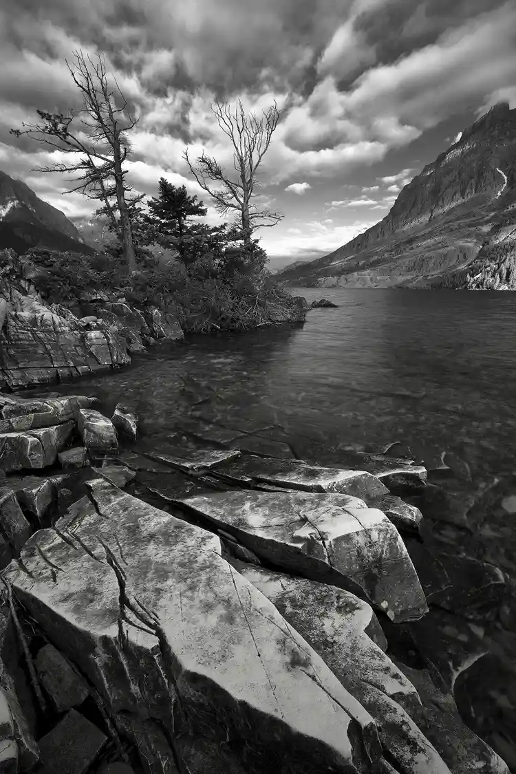 Photography location; Vertical, wide-angle, black and white photo of a small cove on St Mary Lake. The bottom of the image reveals shoreline rocks with linear cracks that create powerful leading lines bringing the viewer into and across the water, to the opposite shore, where the eye tracks the shoreline until it reaches two tall, long dead, spruce trees whose bare limbs stretch skyward to fill the top third of the image. Behind the trees the sky is filled with streaking puffy clouds.