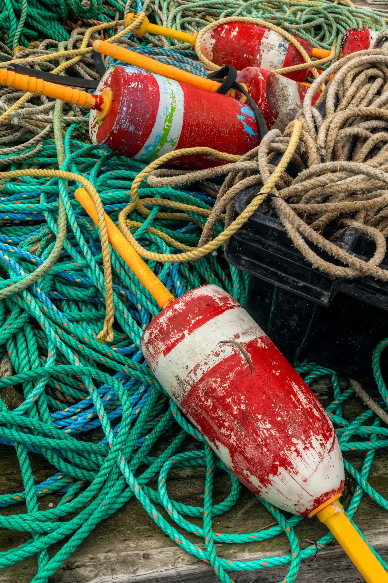 Lobster buoys and ropes piled on the Maine coast.