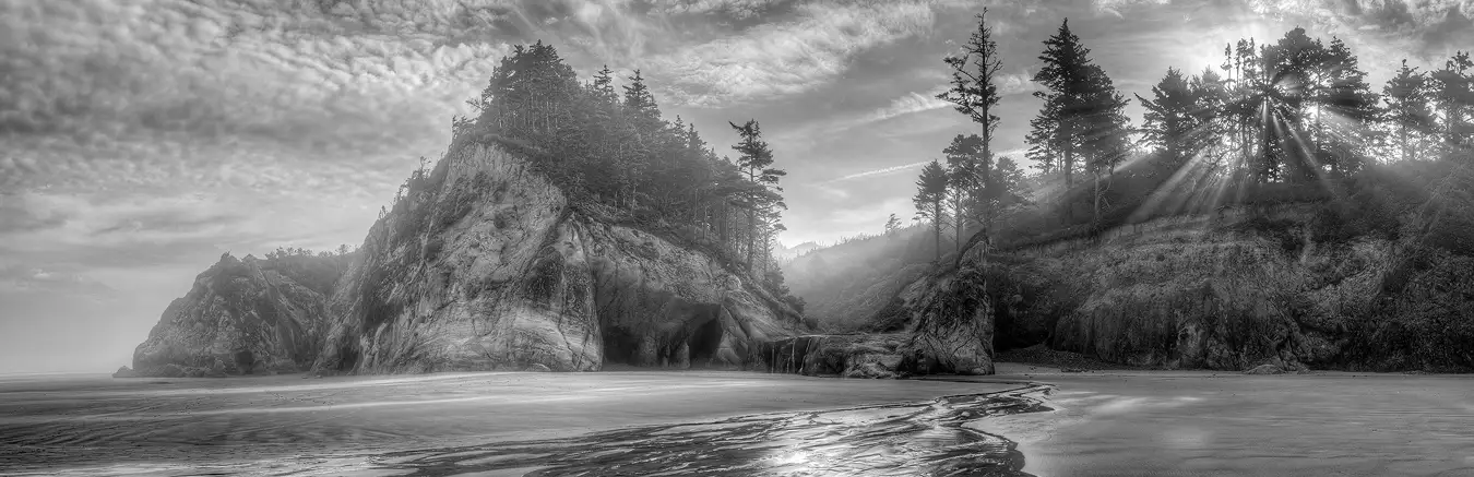 Workshop location; This black and white, morning image captures the sun still behind the trees on the cliffs above Hug Point. The heavy atmosphere causing pronounced sun rays to burst through the gaps in the branches and spill out across the scene. The dramatic cliffs here are tree capped and undulate through the image. At one low point is a set of waterfalls that spill water on to the beach and flow in a curving stream across the sand toward the viewer.