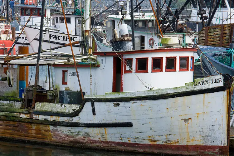 Workshop location; A cluster of fishing vessels fills the frame in this image of Newport Marina on the Oregon coast.