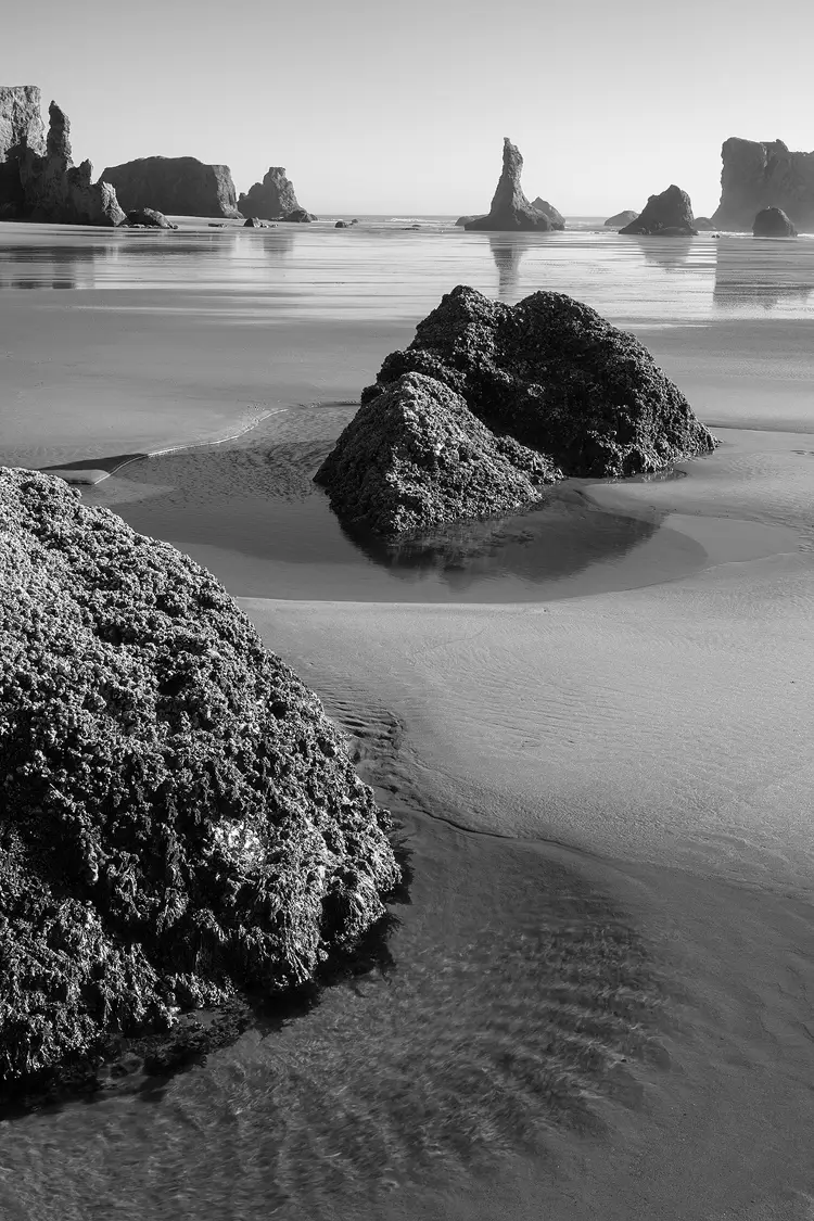 Black and white photograph of Bandon Beach with tide pools and sea stacks reflected in the wet sand.