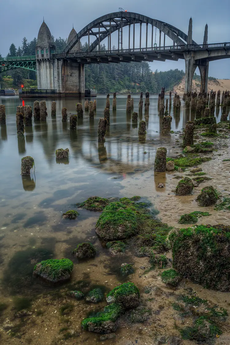 Workshop location; At the bottom of this vertical image taken at dawn are rocks scattered on sand and capped with green seaweed. A bit further up are many, partially exposed posts from long gone piers, but some water does encircle them.  At the top one sees the Art Deco styled Siuslaw River Bridge spanning the slow moving river.