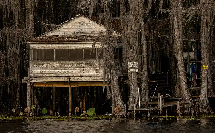 Weathered Dick and Charlie's Tea Room standing on stilts among cypress trees draped with Spanish moss at Caddo Lake.
