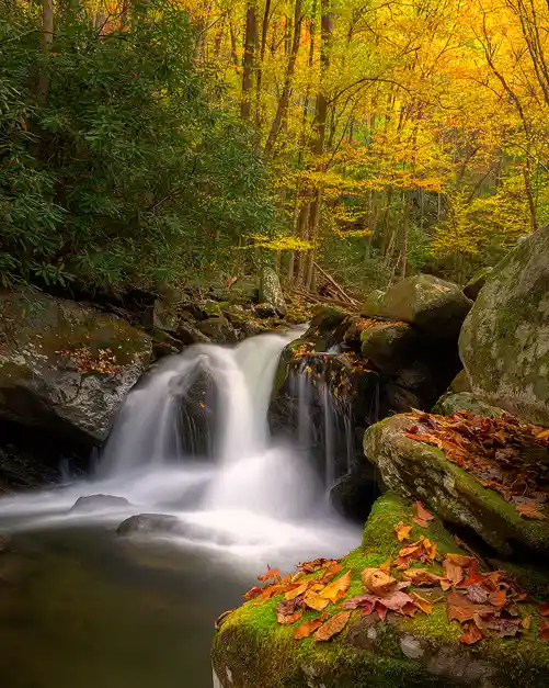 Silky waterfall flowing through moss-covered rocks beneath colorful autumn forest in Great Smoky Mountains National Park.