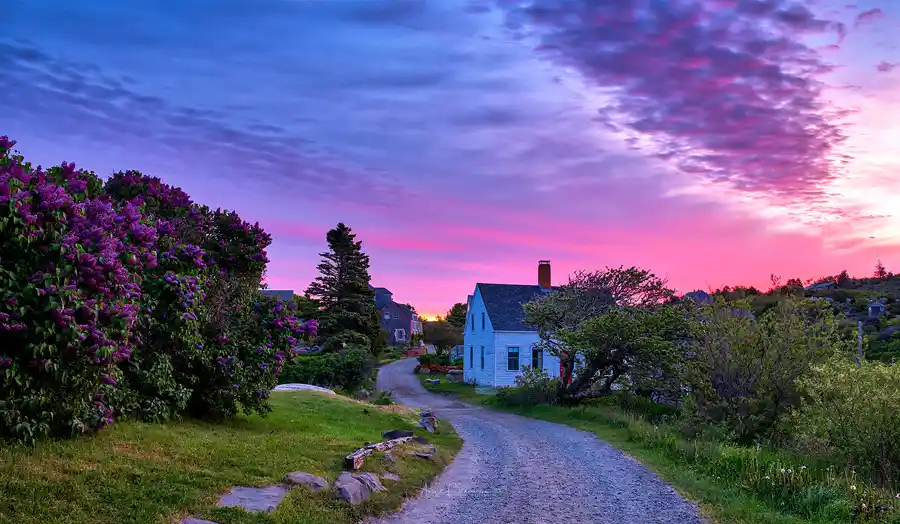 Winding village lane beneath a brilliant pink sunrise sky on Monhegan Island, Maine.