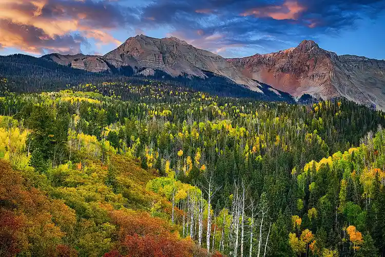 Morning light on the San Juan Mountains above golden aspens and colorful autumn forests in Colorado.