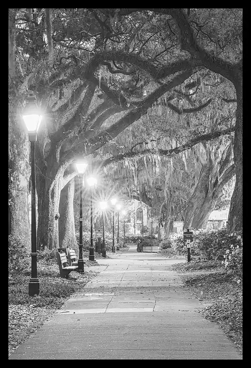Glowing lamps lining a sidewalk beneath an avenue of moss-draped live oaks in Forsyth Park before sunrise.