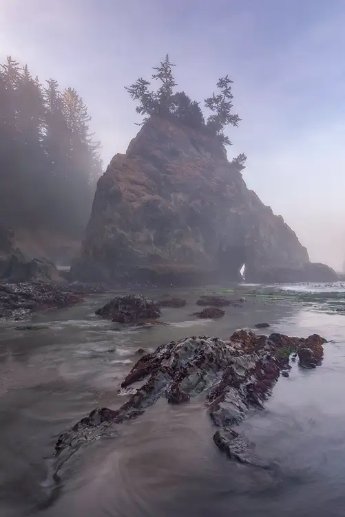 Shoreline rocks leading toward a sea stack shrouded in coastal fog at Secret Beach on the Oregon coast.