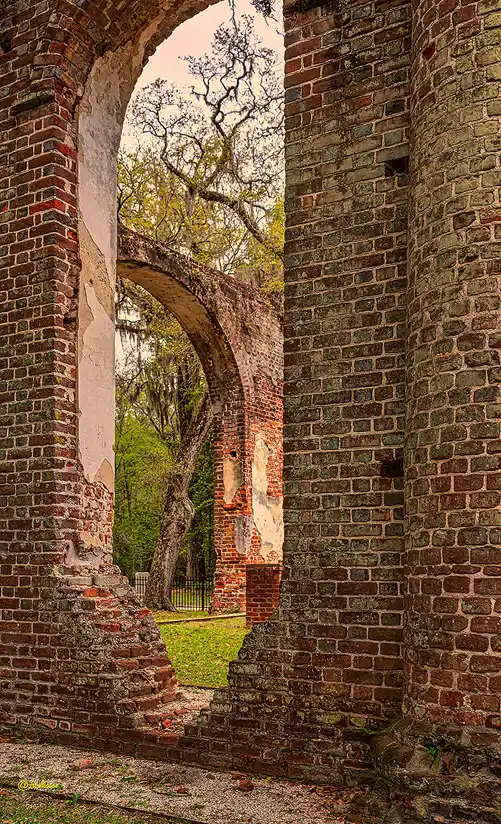 View through the brick ruins of Old Sheldon Church to a live oak beyond.