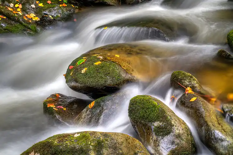 Flowing water weaving around moss-covered boulders with scattered autumn leaves in Great Smoky Mountains National Park.