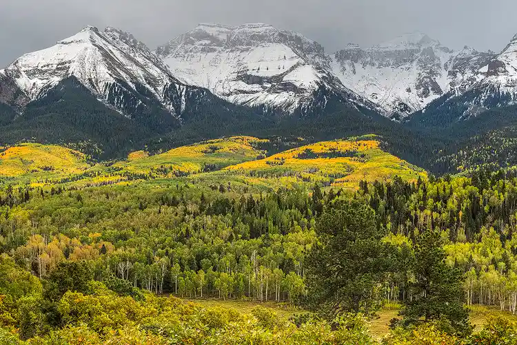 Rolling hills of golden aspens beneath snow-covered peaks along County Road 5 in the San Juan Mountains of Colorado.