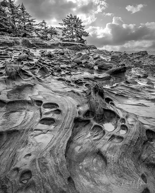 Weathered sandstone with sculpted patterns and potholes at Shore Acres State Park on the Oregon coast.