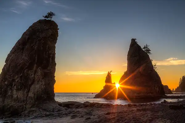 Tree topped, seaside, rocky spires fade into the distance and claw at the blue and orange sky. The setting sun, partially hidden between the merge point of two spires reacts with the lens to generate a large yellow sun star that controls the eye's attention. The wide variety of landscapes found in Olympic National Park offer photography workshops an abundance of photographic opportunity.