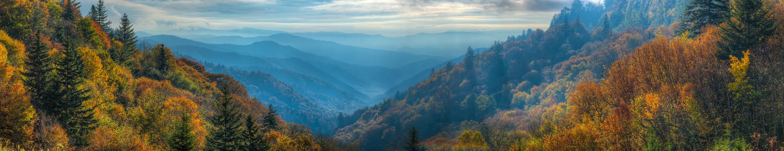 Panoramic view of backlit autumn colors framing layered blue mountains in Great Smoky Mountains National Park.
