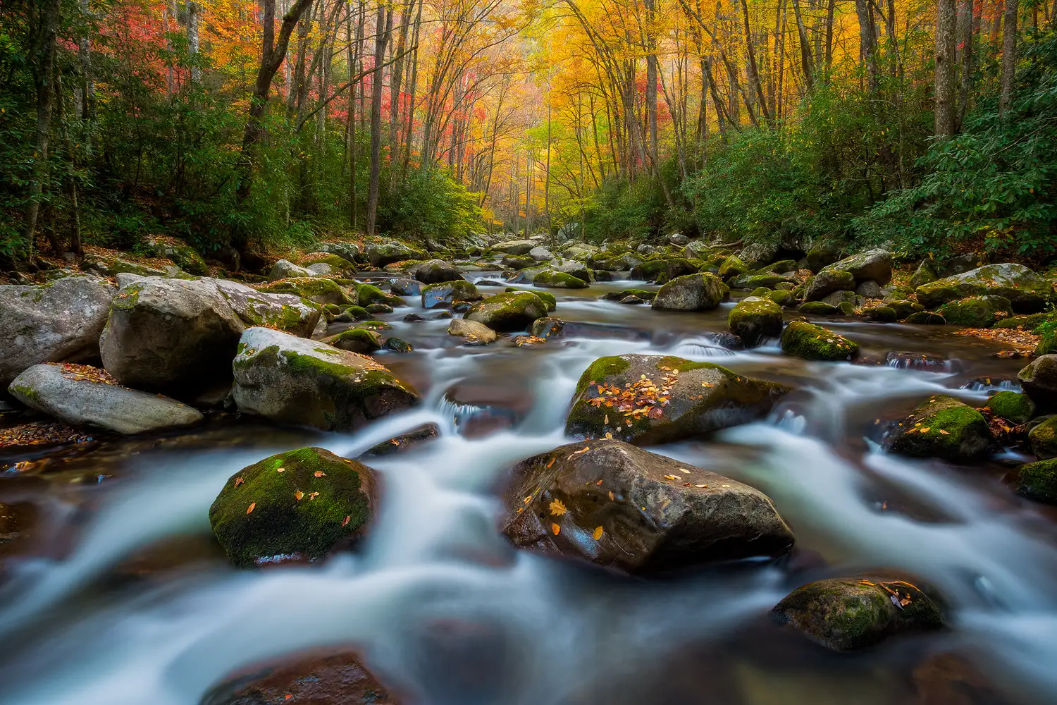 Fall river scene in Great Smoky Mountains National Park.
