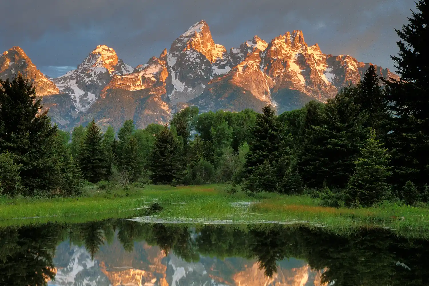 Schwabacher Landing with water reflections of the Teton Range at sunrise.